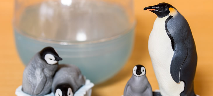 【ガチャガチャを回して震災復興支援】リアルで楽しい！ネイチャーテクニカラーはつい集めたくなる生き物フィギュア！