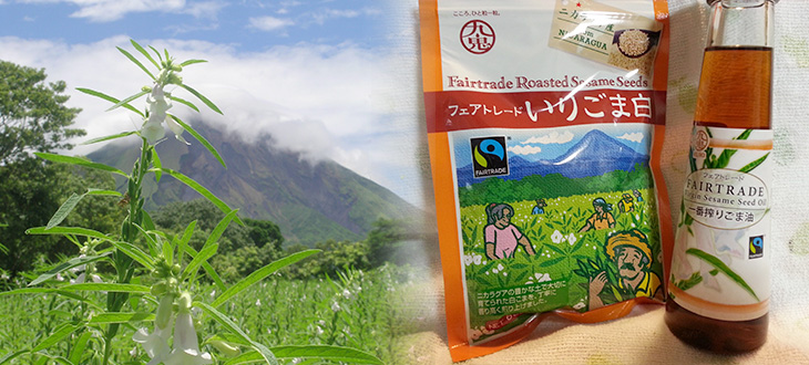 【衝撃の事実！】ごまの◯◯％以上が輸入品！驚きのあまりフェアトレードごまのアレンジ料理を作ってみた！！