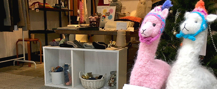【もふもふ党の人、集まれ！】アルパカ専門店「MAITE」直営店が期間限定オープン！ベビーアルパカの極上の肌触りを体感してみよう！