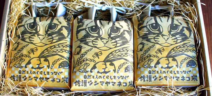 田んぼが絶滅危惧種を救う！対馬のお米を食べてツシマヤマネコの生息地域を守ろう！